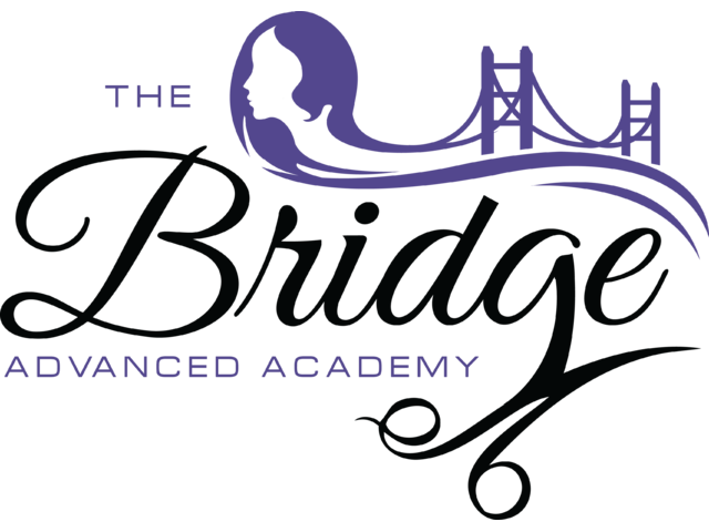The Bridge Advanced Academy
